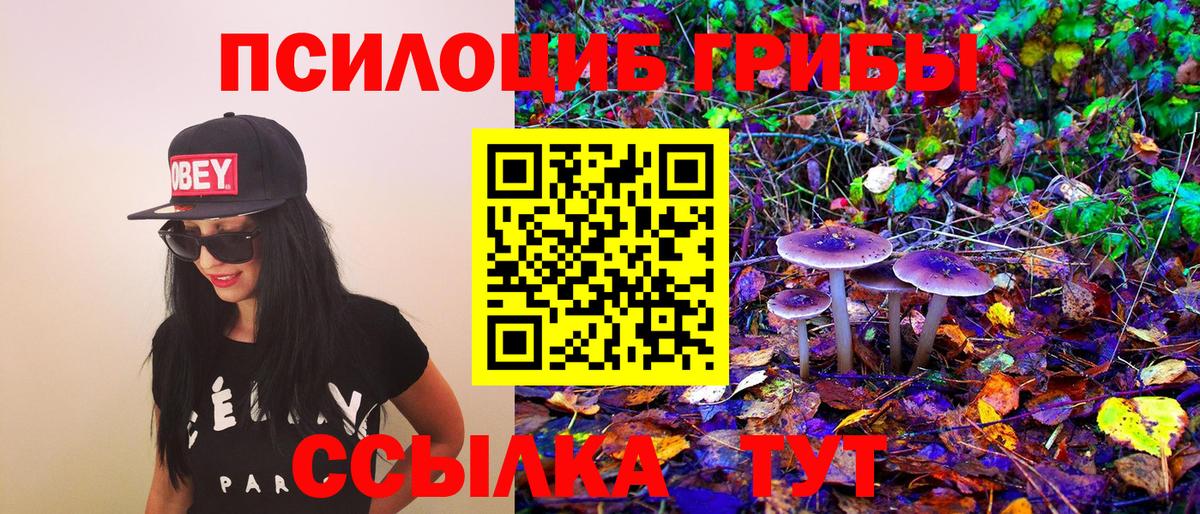 Крымск  Галлюциногенные грибы MAGIC MUSHROOMS  Вход с VPN  Галлюциногенные грибы мухоморы 