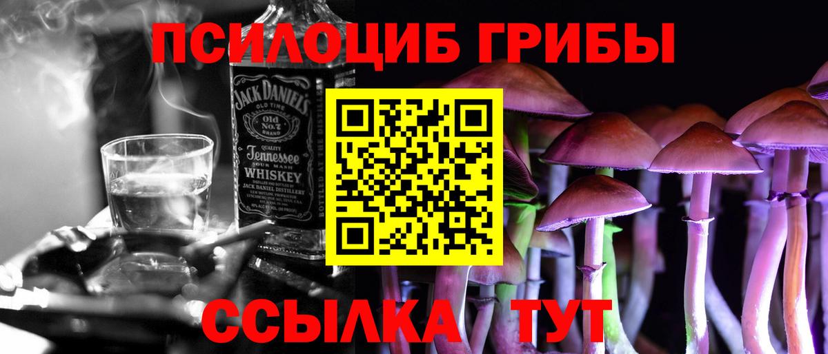 Псилоцибиновые грибы прущие грибы Крымск